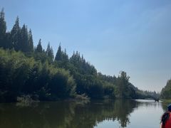 -黄海国家森林公园