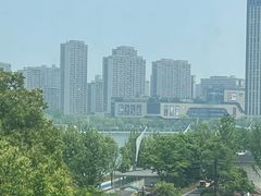 -金沙湖公园