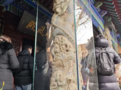 -戏马台景区