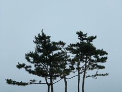 -烟台金沙滩海滨公园