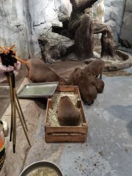 -Zoolung Zoolung动物主题公园(海信广场店)