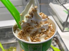 -Salud撒露欧洲冻酸奶(蓝色港湾店)