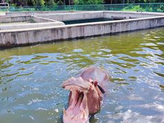 -哈尔滨北方森林动物园