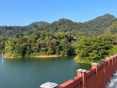 -佛山市三水区大南山森林公园