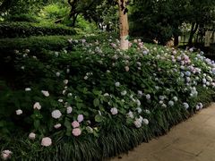 -常州古运河南大街文化旅游区-人民公园