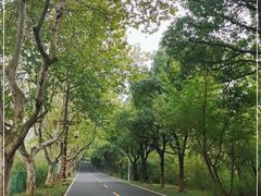 -宜兴龙背山森林公园