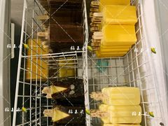 -源茂冷饮厅(哈尔滨中央大街店)