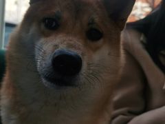 -美联众合24小时·皮肤科·外科·全科诊疗中心(华苑分院)