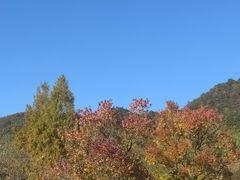 -塔川景区