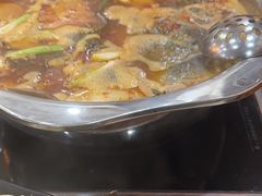 -大理.老字号渝记酸萝卜乌鱼(古城总店)