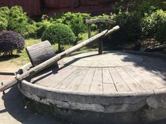 -黄贤森林公园