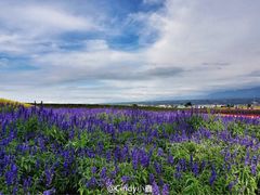 -富田农场