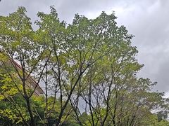 -广东财经大学(佛山校区)