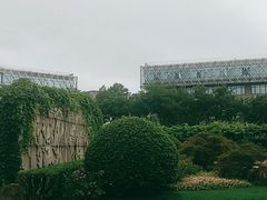 -嘉定紫藤园