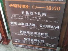 -西双版纳原始森林公园