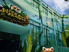 -海合安成都极地海洋公园