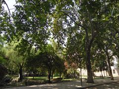 -曲阜师范大学(曲阜校区)