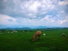 -乌蒙大草原