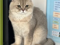 -贝康宠物医院·犬猫全科·小动物特色诊疗中心(东环路店)