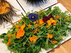 -海胆小馆(东北水饺·春柳店)