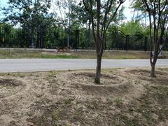 -永定河休闲森林公园