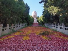 -蒙山大佛景区