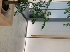 -DearCake 黛点心(花牌坊店)
