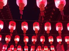 -亭林园-华藏寺