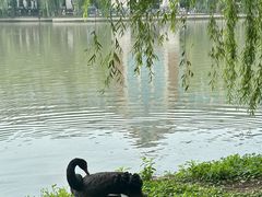 -华东政法大学(松江校区)