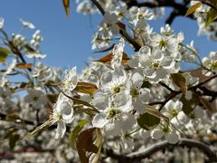 -南开大学(津南校区)