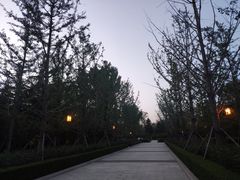 -迎泽公园