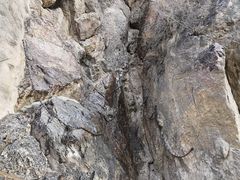 -《12·12》西安事变大型实景演出