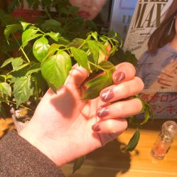 猫眼-森日式美甲沙龙MORI NAIL总店