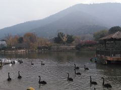 -无锡动物园·太湖欢乐园