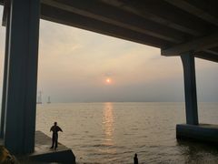 -宝安西湾红树林湿地公园