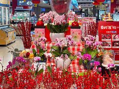 -盒马鲜生(帝斯曼店)