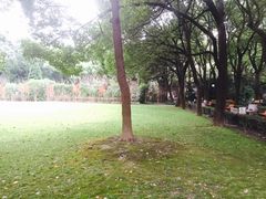 -上海交通大学医学院附属瑞金医院(总院)