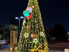 -汕头龙光喜来登酒店-采悦轩中餐厅