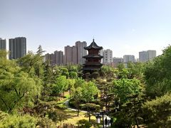 -迎泽公园