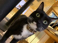 -小时光咖啡馆(开森度假森林店)