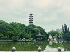 -江心屿景区