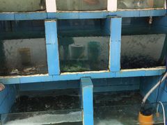 -湛江海鲜餐厅