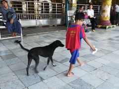 -ခြောက်ထပ်ကြီးရွှေသာလျောင်းဘုရားကြီး