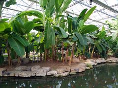 -南通洲际绿博园