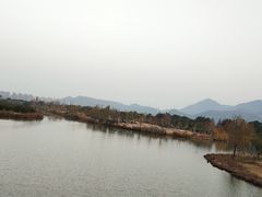 -三垟湿地