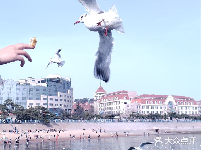栈桥景区图片