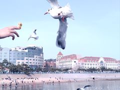 -栈桥景区