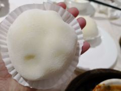 -Lucky Fortune Restaurant(喜运来酒家)