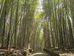 -会稽山峡洞漂流-上青古道