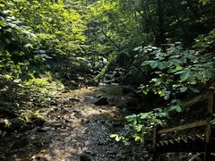 -本溪汤沟绿石谷森林公园